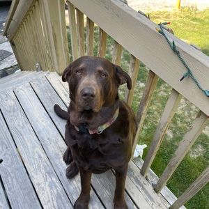 Meet your Posher, Anthony